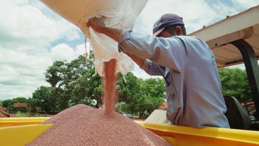 brazil soybean farmer