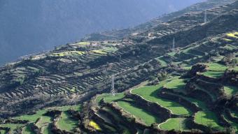 World Bank and Climate Change