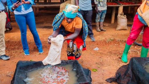 A person wearing a patterned headscarf and colorful clothing pours coffee cherries and water through a cloth filter over a basin, while several others stand nearby in an outdoor market setting with sacks and tables in the background.