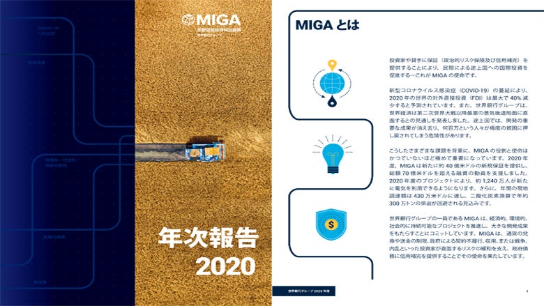 Annual Report 2020