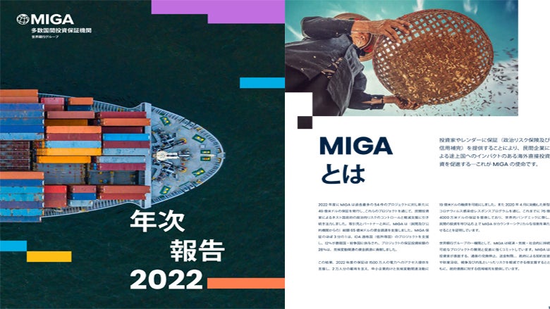 Annual Report 2022