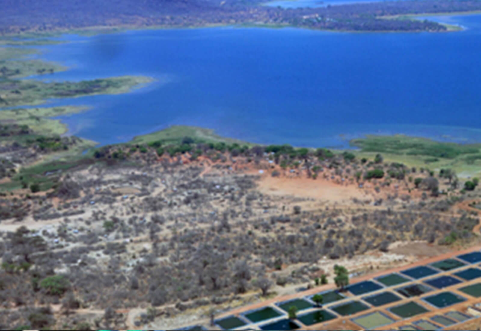 aerial shot