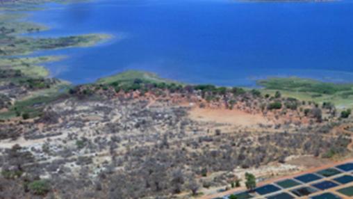 aerial photo