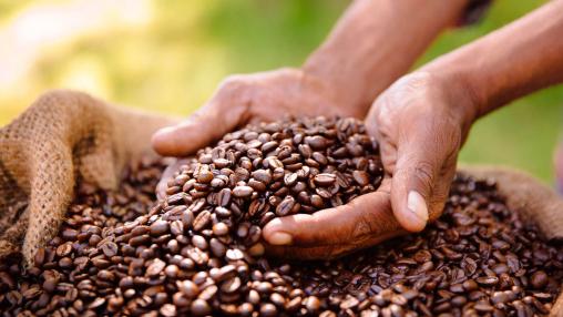 coffee beans