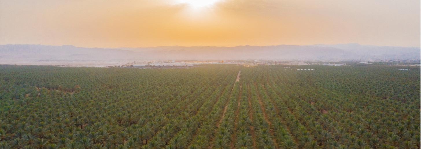 date farm