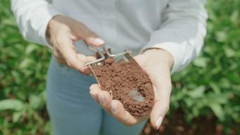 farming