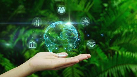 sustainability guide