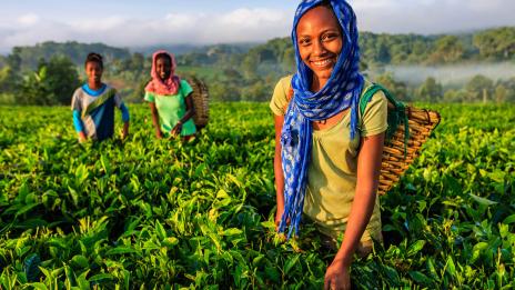 girls in field