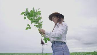 no till farming