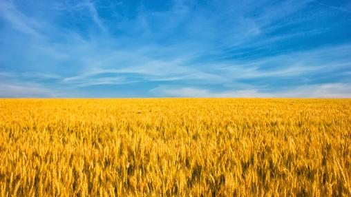 Agriculture