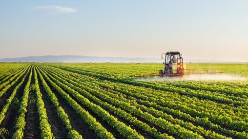 Agriculture