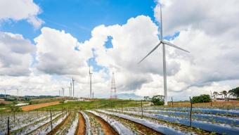 wind farm 