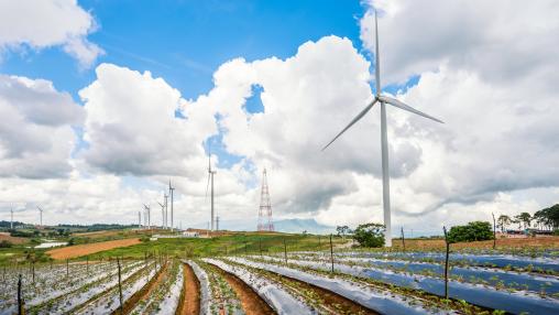 wind farm 