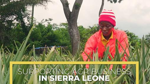 Photo-Video Sierra Tropical