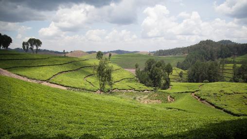 Rwanda