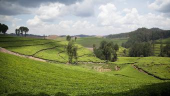 Rwanda