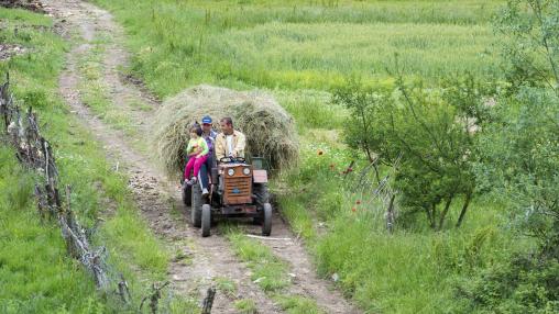 Prrenjas, Albania – May 18, 2018: Rural scene, Farmer conducting a tractor trailer loaded with hay, Prrenjas, Albania