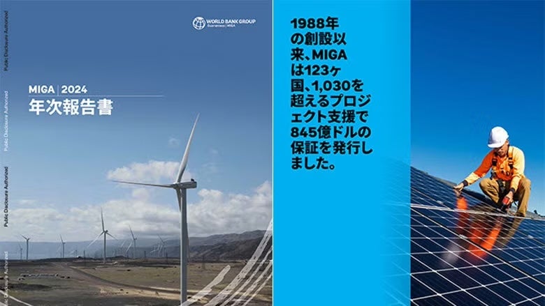 annual report 2024