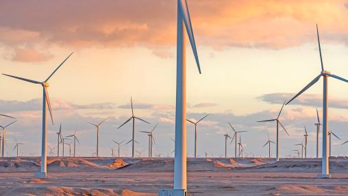 wind farm sunset