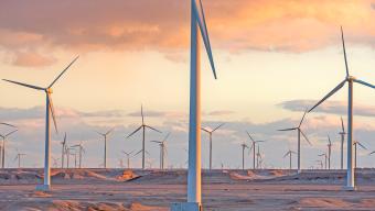 wind farm sunset