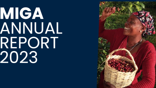 Annual Report 2023