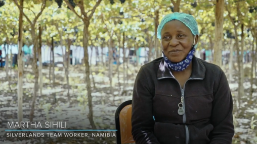 Smallholder farmer in Africa 